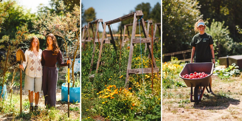 Notes on a Job Two volunteers holding a shovel and pitchfork; wooden trellises above orange calendula; a smiling volunteer pushing a wheelbarrow of red apples through the garden
