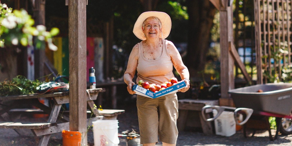 Notes on a Job A smiling volunteer in a sun hat carries a box of apples past a picnic table and wheelbarrow at the Tsolum Educational Garden